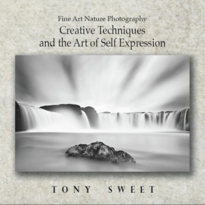 Creative Techniques and the Art of Self Expression - Tony Sweet